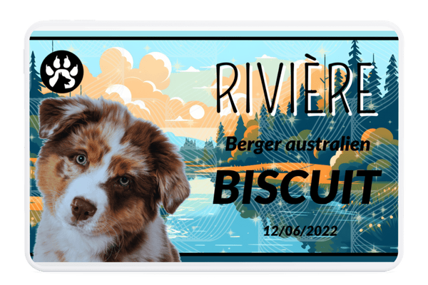 Carte pour animaux Rivière