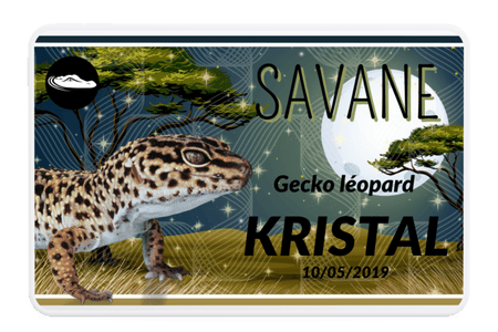 Carte pour animaux Savane